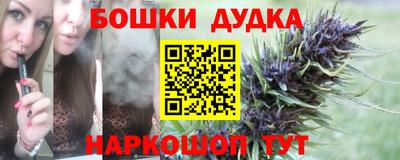 крисы Краснодар