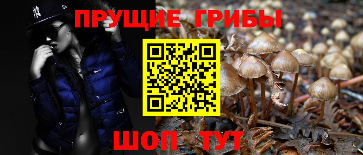 Псилоцибиновые грибы ЛСД Бирск